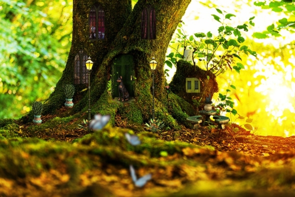 IL SENTIERO MAGICO - bambini 2-5 anni